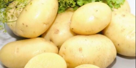 Rane i ultrarane sorte krompira